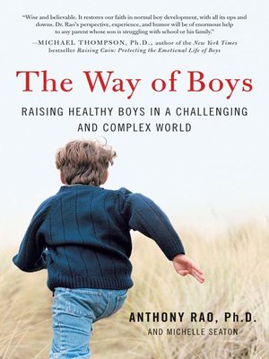 cover image of The Way of Boys